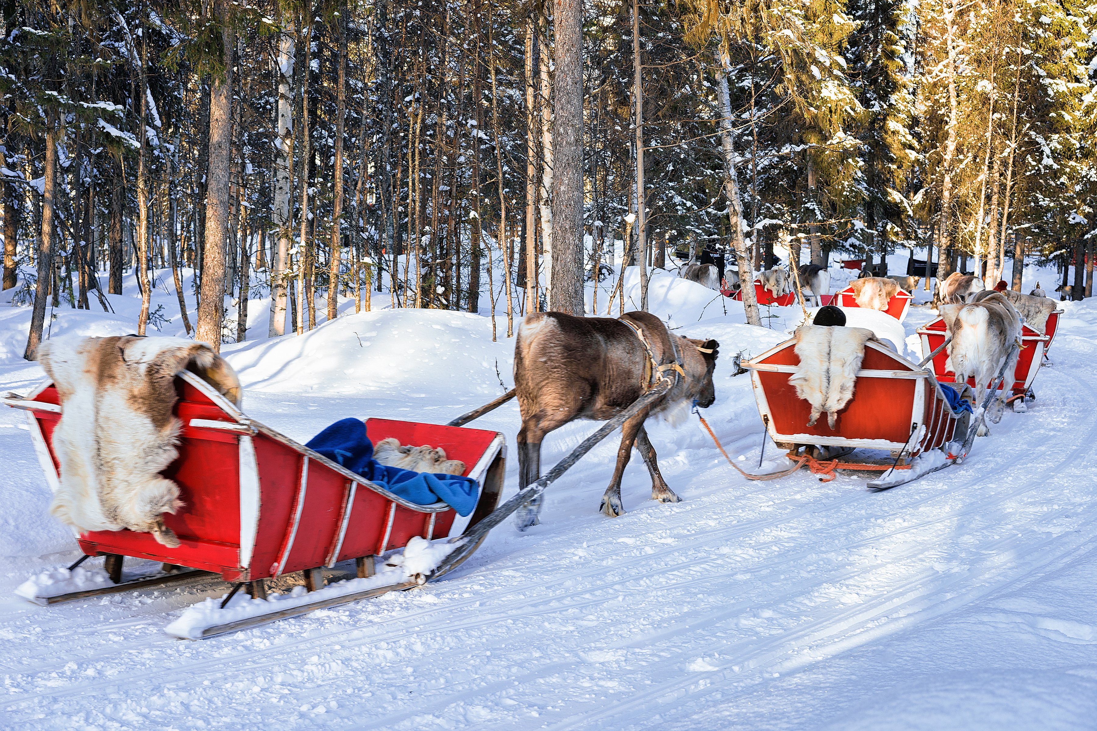 AdobeStock_331302153